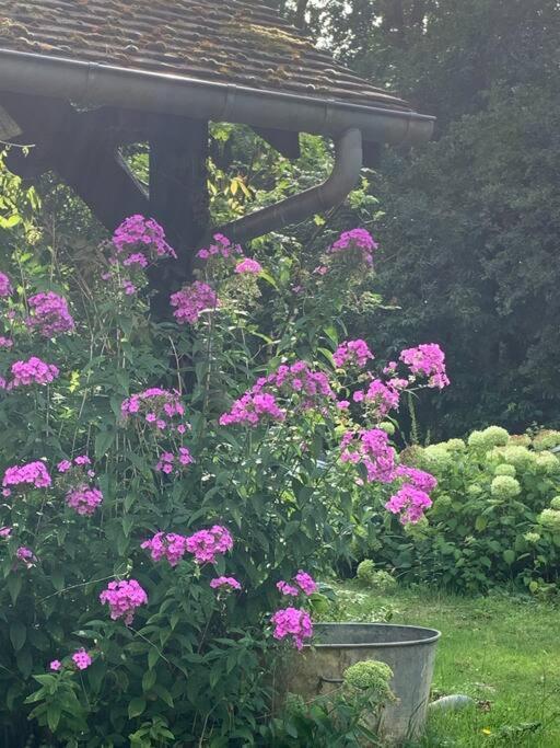 Maisonnette En Clairiere De Foret Gambais ภายนอก รูปภาพ