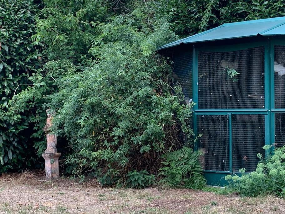 Maisonnette En Clairiere De Foret Gambais ภายนอก รูปภาพ