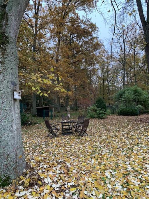 Maisonnette En Clairiere De Foret Gambais ภายนอก รูปภาพ