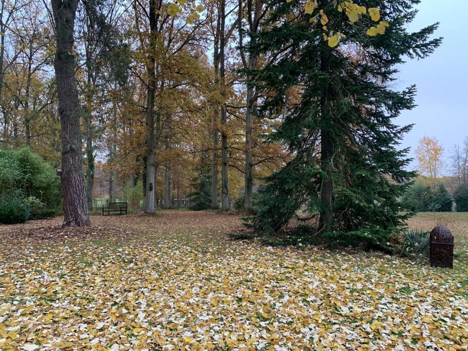 Maisonnette En Clairiere De Foret Gambais ภายนอก รูปภาพ