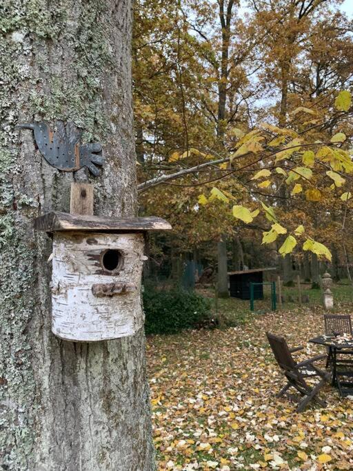 Maisonnette En Clairiere De Foret Gambais ภายนอก รูปภาพ