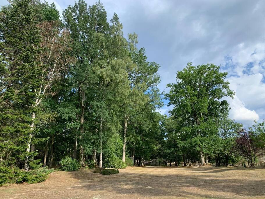 Maisonnette En Clairiere De Foret Gambais ภายนอก รูปภาพ